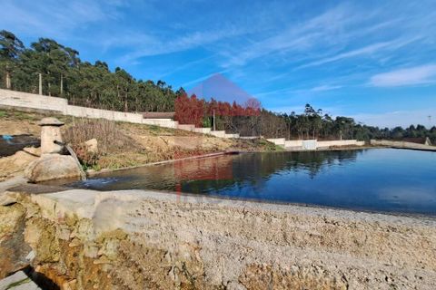 Byhus i Vila Verde, Braga, Vila Verde - € 400.000 | Ref: 08271 - foto 22