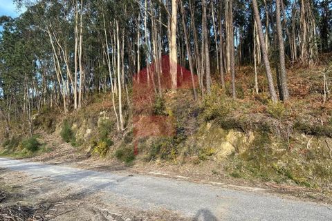 Helårsgrund i Vila Verde, Braga, Vila Verde - € 50.000 | Ref: 08274 - foto 2