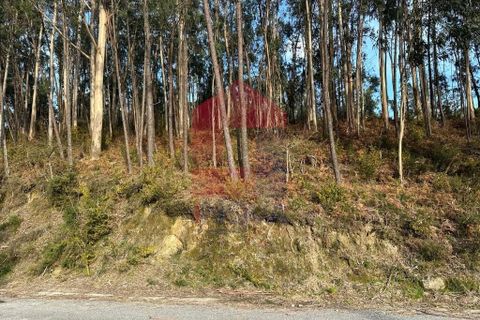 Helårsgrund i Vila Verde, Braga, Vila Verde - € 50.000 | Ref: 08274 - foto 4