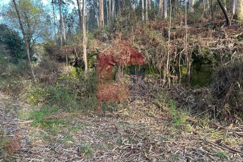 Helårsgrund i Vila Verde, Braga, Vila Verde - € 50.000 | Ref: 08274 - foto 12