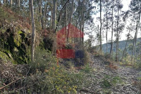 Helårsgrund i Vila Verde, Braga, Vila Verde - € 50.000 | Ref: 08274 - foto 13