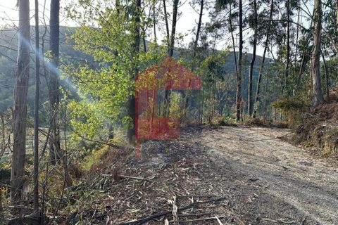 Helårsgrund i Vila Verde, Braga, Vila Verde - € 50.000 | Ref: 08274 - foto 23