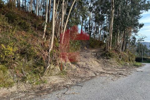 Helårsgrund i Vila Verde, Braga, Vila Verde - € 50.000 | Ref: 08274 - foto 32