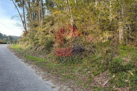 Helårsgrund i Vila Verde, Braga, Vila Verde - € 50.000 | Ref: 08274 - foto 33
