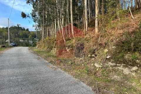 Helårsgrund i Vila Verde, Braga, Vila Verde - € 50.000 | Ref: 08274 - foto 34