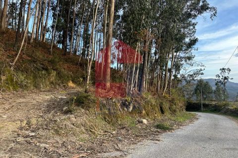 Helårsgrund i Vila Verde, Braga, Vila Verde - € 50.000 | Ref: 08274 - foto 39