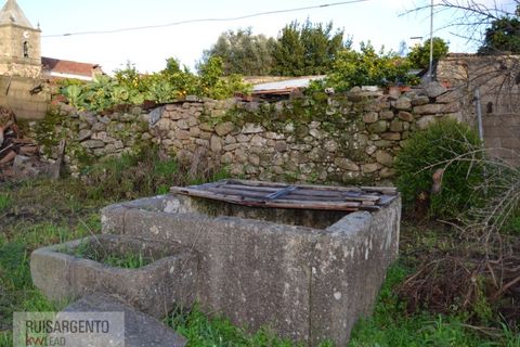 Landejendom i Castelo Branco, Castelo Branco, Castelo Branco - € 91.500 | Ref: CAS_95RS0012 - foto 35