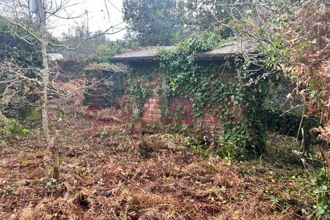 Villa i Viana do Castelo, Viana do Castelo, Viana do Castelo - € 57.000 | Ref: CAS_352 - foto 5