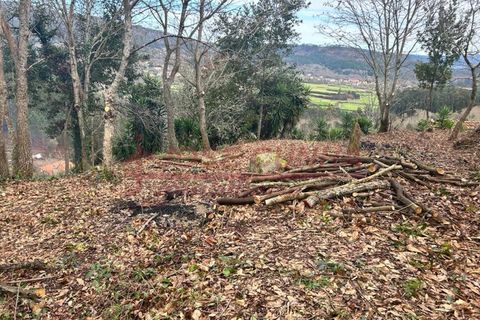 Villa i Viana do Castelo, Viana do Castelo, Viana do Castelo - € 57.000 | Ref: CAS_352 - foto 6