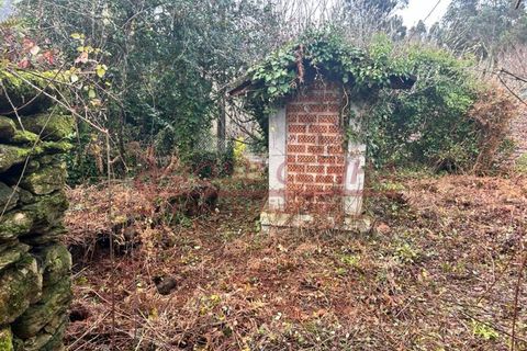 Villa i Viana do Castelo, Viana do Castelo, Viana do Castelo - € 57.000 | Ref: CAS_352 - foto 7