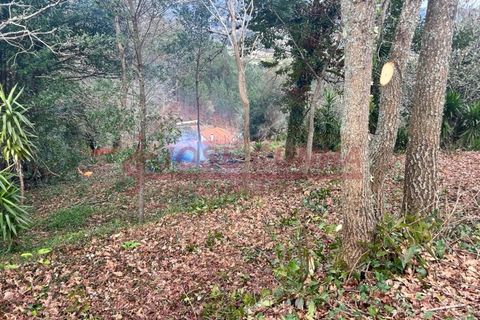 Villa i Viana do Castelo, Viana do Castelo, Viana do Castelo - € 57.000 | Ref: CAS_352 - foto 8