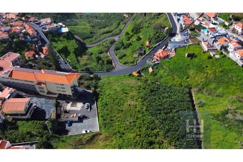 Helårsgrund i Ribeira Brava, Madeira, Ribeira Brava - € 800.000 | Ref: HH_1986MD24 - foto 9