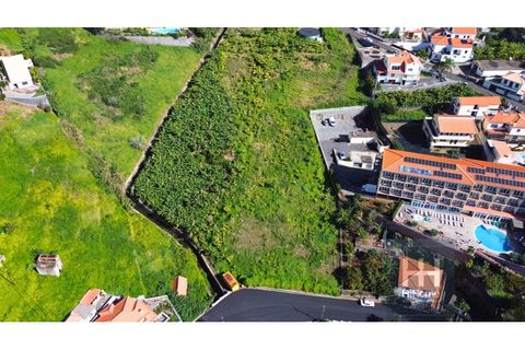 Helårsgrund i Ribeira Brava, Madeira, Ribeira Brava - € 800.000 | Ref: HH_1986MD24 - foto 10