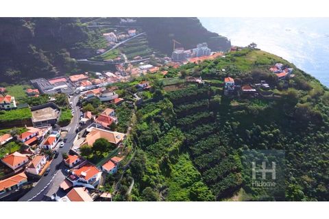 Helårsgrund i Ribeira Brava, Madeira, Ribeira Brava - € 800.000 | Ref: HH_1986MD24 - foto 12