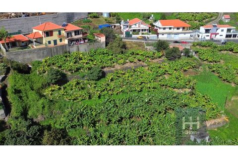 Tomt i Ribeira Brava, Madeira, Ribeira Brava - € 280 000 | Ref: HH_1987MD24 - foto 3