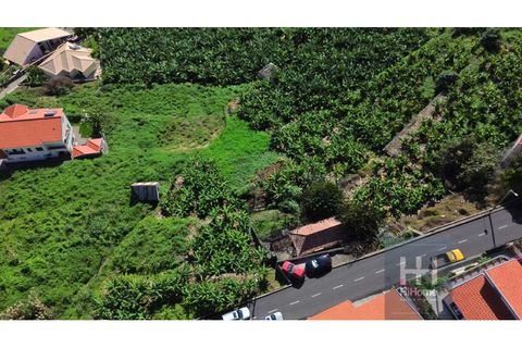 Tomt i Ribeira Brava, Madeira, Ribeira Brava - € 280 000 | Ref: HH_1987MD24 - foto 5