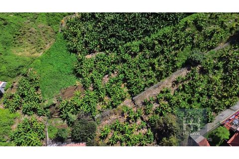 Tomt i Ribeira Brava, Madeira, Ribeira Brava - € 280 000 | Ref: HH_1987MD24 - foto 6