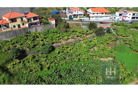 Tomt i Ribeira Brava, Madeira, Ribeira Brava - € 280 000 | Ref: HH_1987MD24 - foto 8