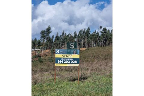Tomt i Mortagua, Viseu, Mortagua - € 45 000 | Ref: SH0003-2024 - foto 7
