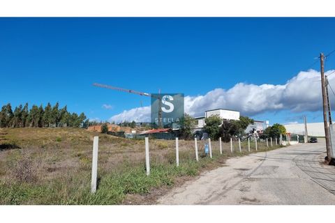 Tomt i Mortagua, Viseu, Mortagua - € 45 000 | Ref: SH0003-2024 - foto 6