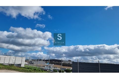 Tomt i Mortagua, Viseu, Mortagua - € 45 000 | Ref: SH0003-2024 - foto 3