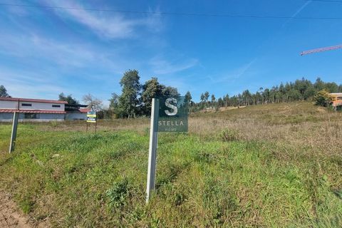 Tomt i Mortagua, Viseu, Mortagua - € 45 000 | Ref: SH0003-2024 - foto 2