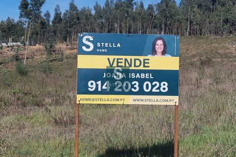 Tomt i Mortagua, Viseu, Mortagua - € 45 000 | Ref: SH0003-2024 - foto 12