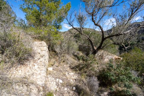 Finca i Tortosa, Tarragona, Tortosa - € 23.000 | Ref: 23 - foto 15