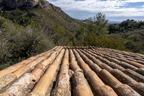 Finca i Tortosa, Tarragona, Tortosa - € 23.000 | Ref: 23 - foto 21