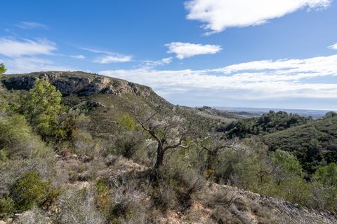 Finca i Tortosa, Tarragona, Tortosa - € 23.000 | Ref: 23 - foto 9