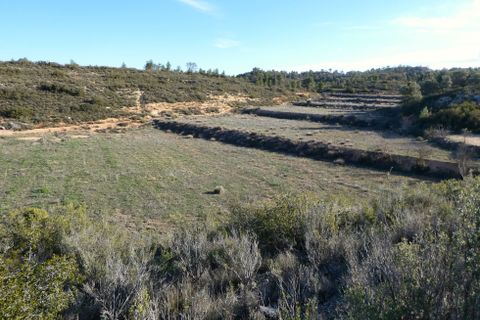 Finca i Fabara, Zaragoza, Fabara - € 26.000 | Ref: 0990 - foto 29