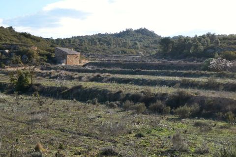 Finca i Fabara, Zaragoza, Fabara - € 26.000 | Ref: 0990 - foto 34