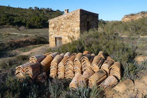 Finca i Fabara, Zaragoza, Fabara - € 26.000 | Ref: 0990 - foto 6
