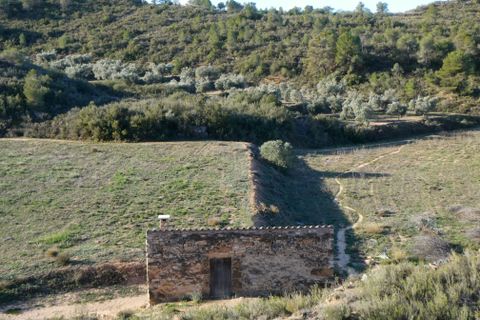 Finca i Fabara, Zaragoza, Fabara - € 26.000 | Ref: 0990 - foto 33