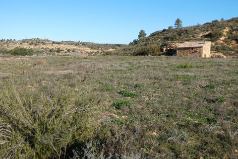Finca i Fabara, Zaragoza, Fabara - € 26.000 | Ref: 0990 - foto 25