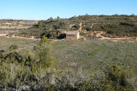Finca i Fabara, Zaragoza, Fabara - € 26.000 | Ref: 0990 - foto 30