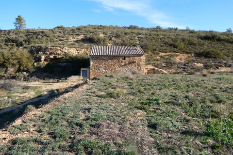 Finca i Fabara, Zaragoza, Fabara - € 26.000 | Ref: 0990 - foto 23