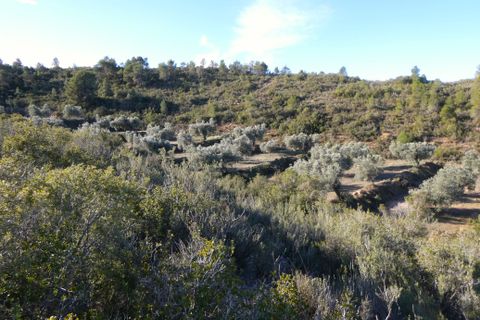 Finca i Fabara, Zaragoza, Fabara - € 26.000 | Ref: 0990 - foto 27