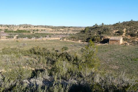 Finca i Fabara, Zaragoza, Fabara - € 26.000 | Ref: 0990 - foto 31