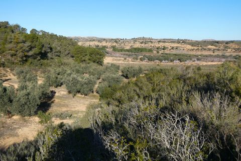 Finca i Fabara, Zaragoza, Fabara - € 26.000 | Ref: 0990 - foto 28