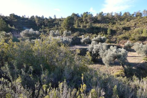 Finca i Fabara, Zaragoza, Fabara - € 26.000 | Ref: 0990 - foto 26