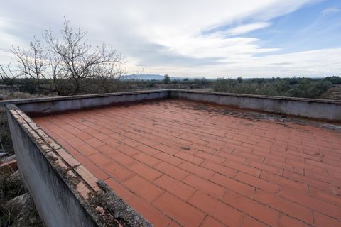 Finca i Roquetes, Tarragona, Roquetes - € 41.000 | Ref: 24 - foto 18