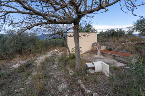 Finca i Roquetes, Tarragona, Roquetes - € 41.000 | Ref: 24 - foto 3