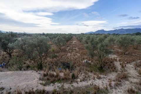 Finca i Roquetes, Tarragona, Roquetes - € 41.000 | Ref: 24 - foto 21