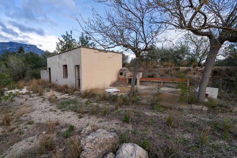 Finca i Roquetes, Tarragona, Roquetes - € 41.000 | Ref: 24 - foto 13