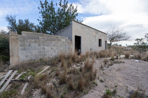 Finca i Roquetes, Tarragona, Roquetes - € 41.000 | Ref: 24 - foto 9