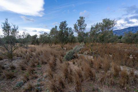 Finca i Roquetes, Tarragona, Roquetes - € 41.000 | Ref: 24 - foto 14