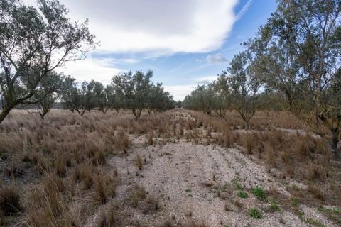 Finca i Roquetes, Tarragona, Roquetes - € 41.000 | Ref: 24 - foto 10