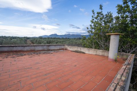 Finca i Roquetes, Tarragona, Roquetes - € 41.000 | Ref: 24 - foto 17