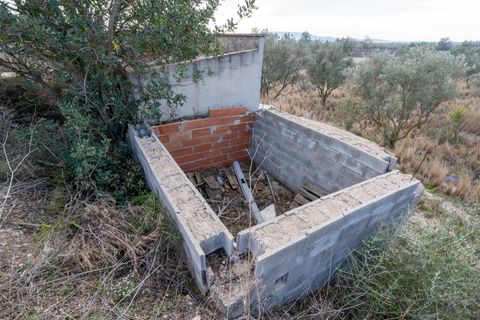 Finca i Roquetes, Tarragona, Roquetes - € 41.000 | Ref: 24 - foto 16